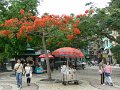 Macao (069)